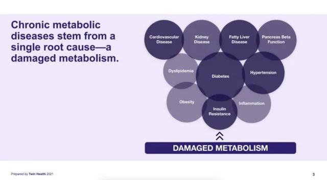 Problem slide 3 from Twin Health