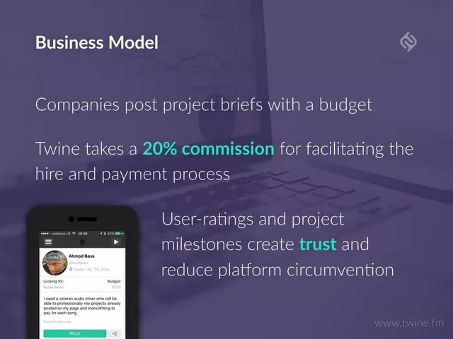 Business model / revenue streams slide 9 from Twine