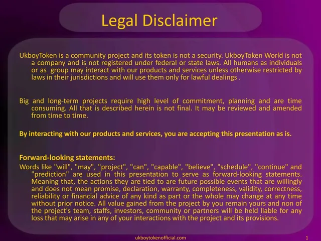 Disclaimer slide 2 from UkboyToken