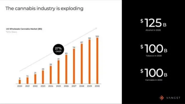 Market sizing / opportunity slide 6 from Vangst