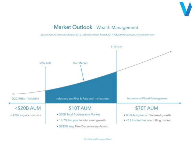 Market sizing / opportunity slide 6 from Vise AI