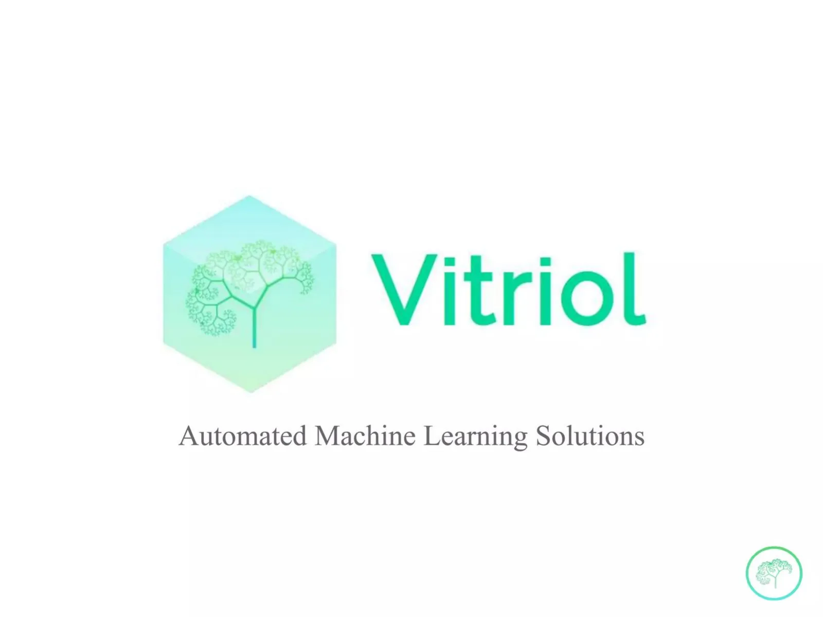 Vitriol pitch deck slide