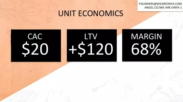 Financials slide 6 from We Are Onyx