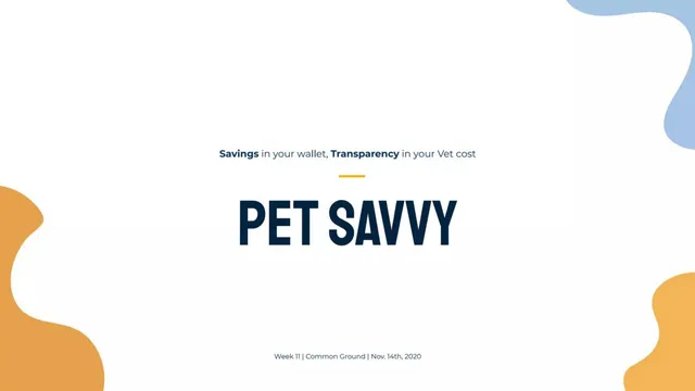 Pet Savvy pitch deck cover