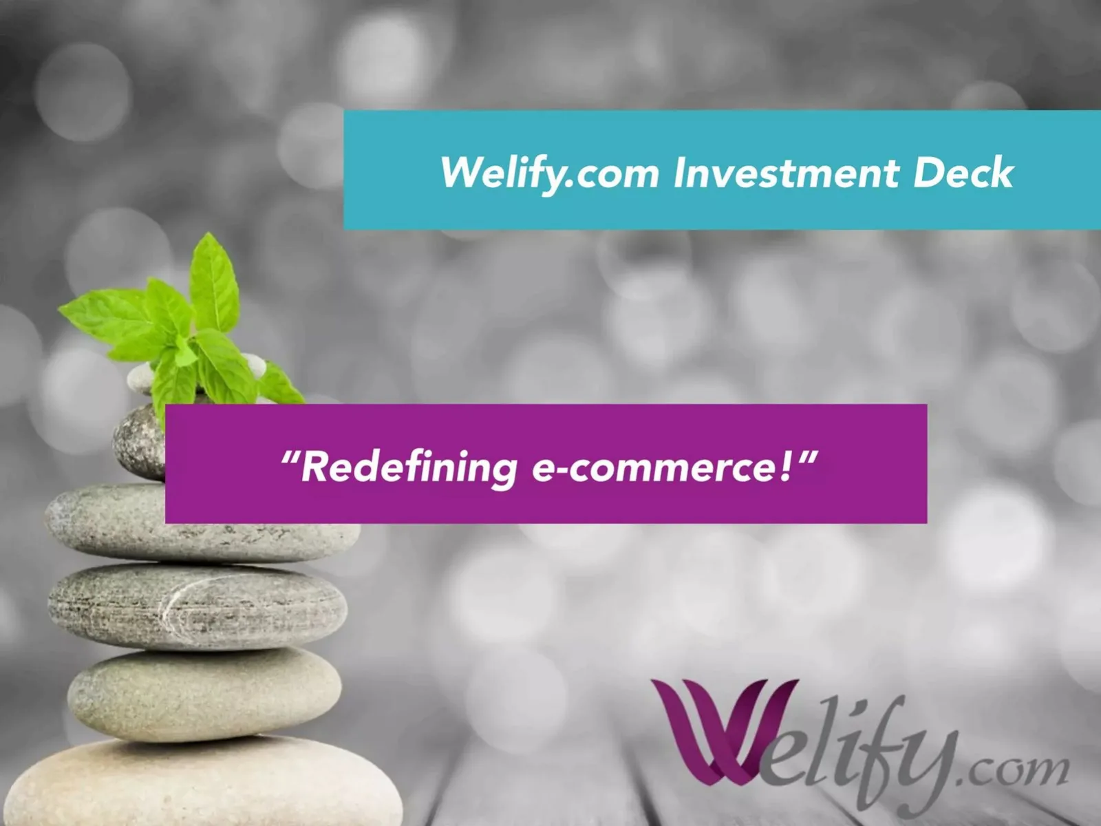 Welify.com pitch deck slide
