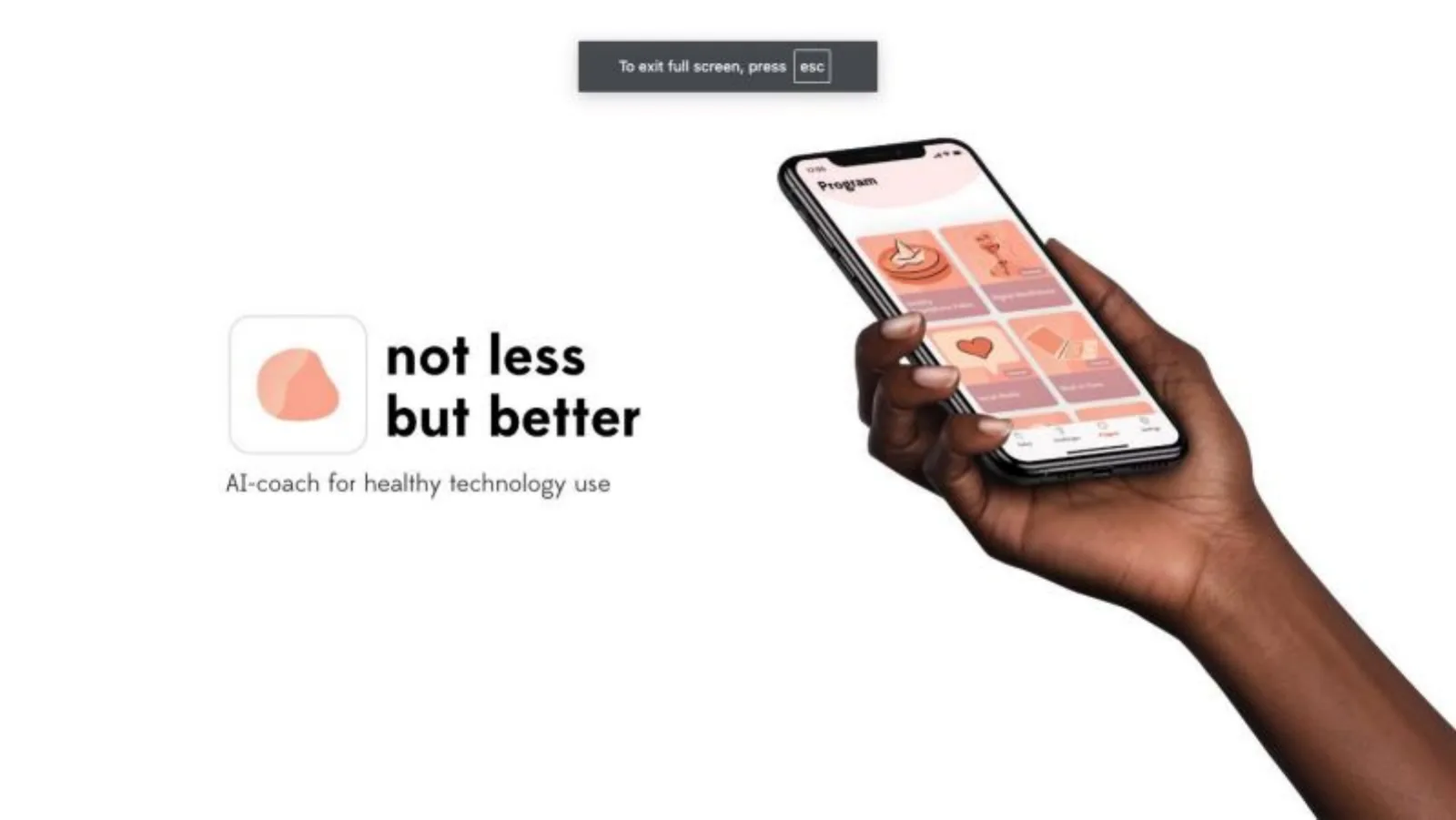 Wellspent (formerly not less but better) pitch deck slide