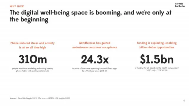Market sizing / opportunity slide 6 from Wellspent (formerly not less but better)