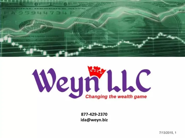 Weyn LLC pitch deck cover