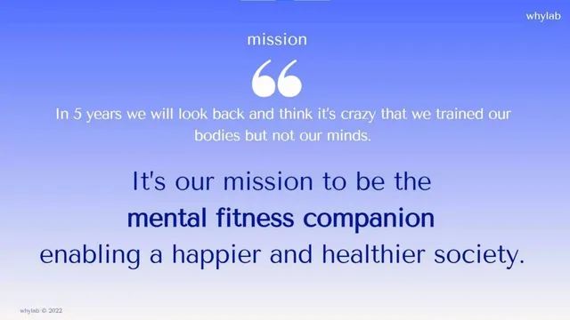 Vision slide 7 from Whylab