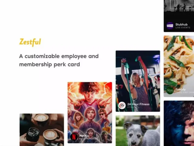 Zestful pitch deck cover