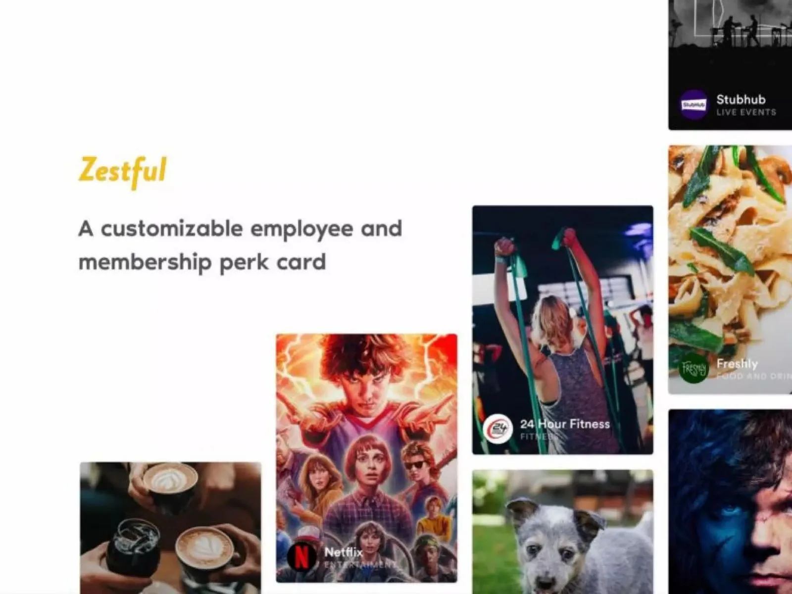 Zestful pitch deck slide